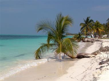 2004 Cuba, Cayo Levisa, DSC00705 B_B720